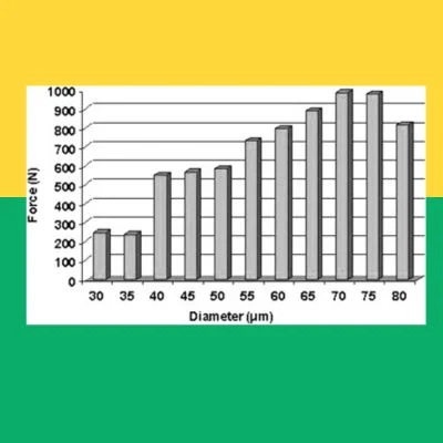 Biomechanical Properties