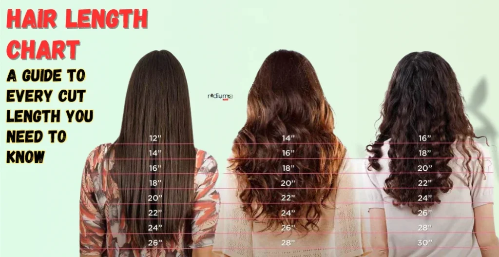 Hair Length Chart